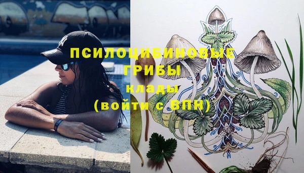 гидропоника Карпинск