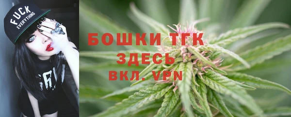 гидропоника Карпинск
