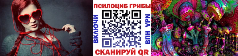 Купить Таштагол Псилоцибиновые грибы ЛСД