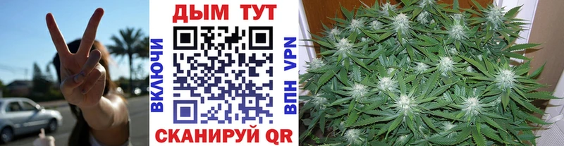 Купить где  Таштагол  Бошки марихуана OG Kush 